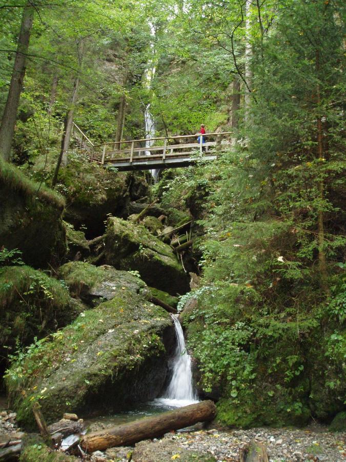 Gastehaus Koch Daire Fischen im Allgaeu Dış mekan fotoğraf